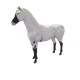 14356