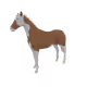 5443