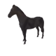 5690
