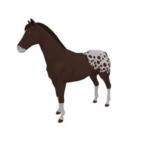 Zkrace Horses