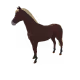 8686