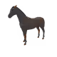 9729