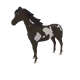 6478