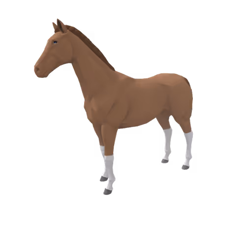 Zkrace Horses