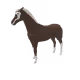 260