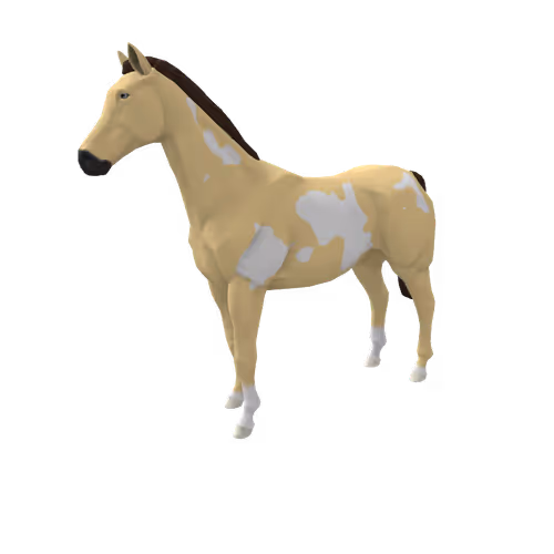 Zkrace Horses