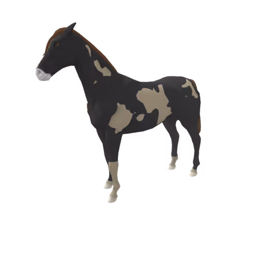 Zkrace Horses