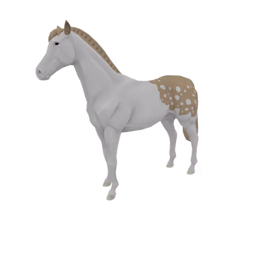 Zkrace Horses