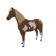 4881