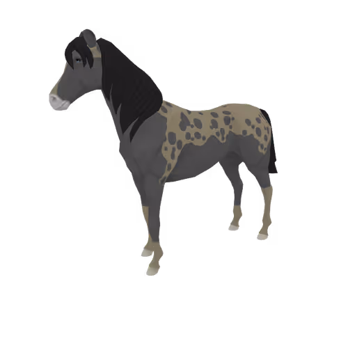 Zkrace Horses