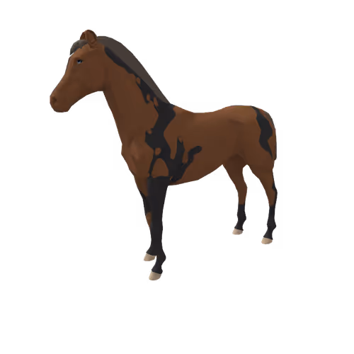 Zkrace Horses