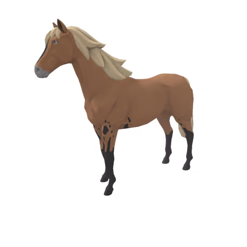Zkrace Horses