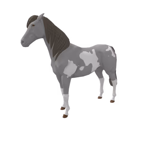 Zkrace Horses