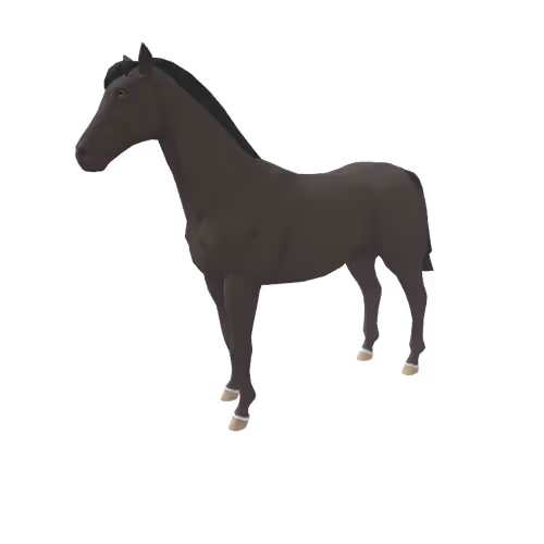 Zkrace Horses