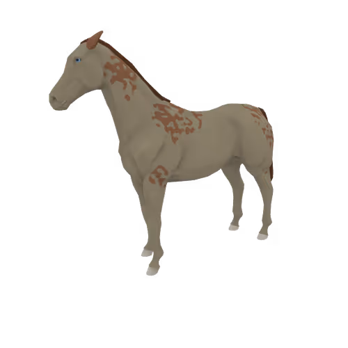 Zkrace Horses