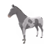 6652