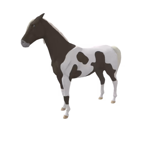 Zkrace Horses