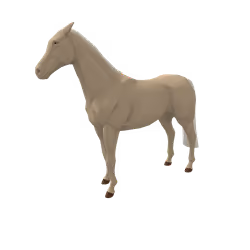 Norda