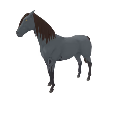 Zkrace Horses