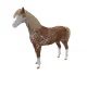 9784