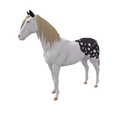 Zkrace Horses