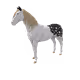 8248