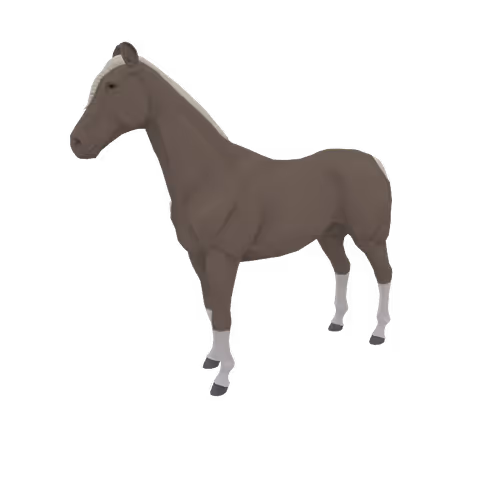 Zkrace Horses