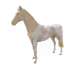5967