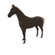 6311