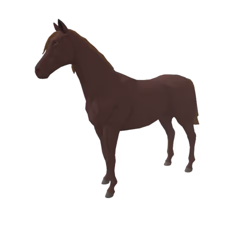 Zkrace Horses