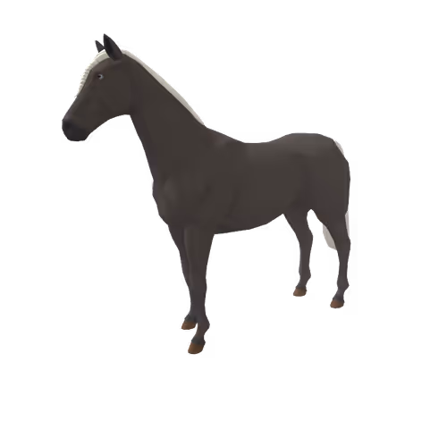 Zkrace Horses