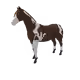 5651
