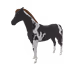 323