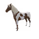 10970