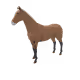 853