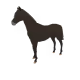 4423