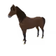 7508