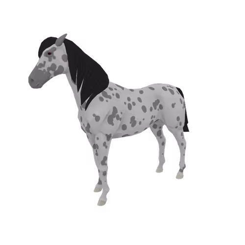 Zkrace Horses