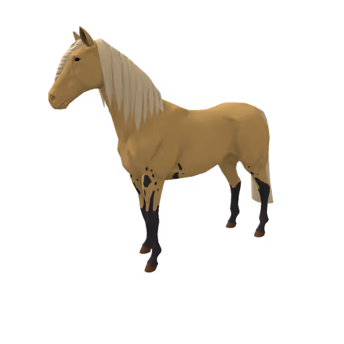 Zkrace Horses