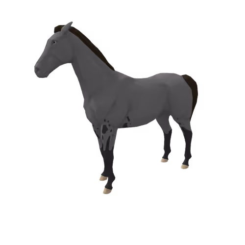 Zkrace Horses