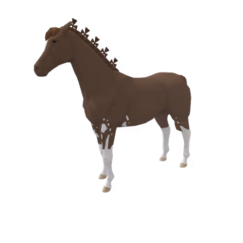 Zkrace Horses