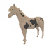 3644