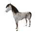 9796
