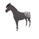 5024