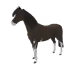 6467