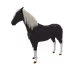9061