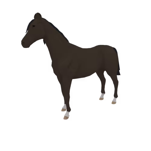 Zkrace Horses