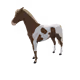 6562