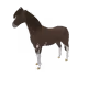 1221