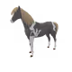 14484
